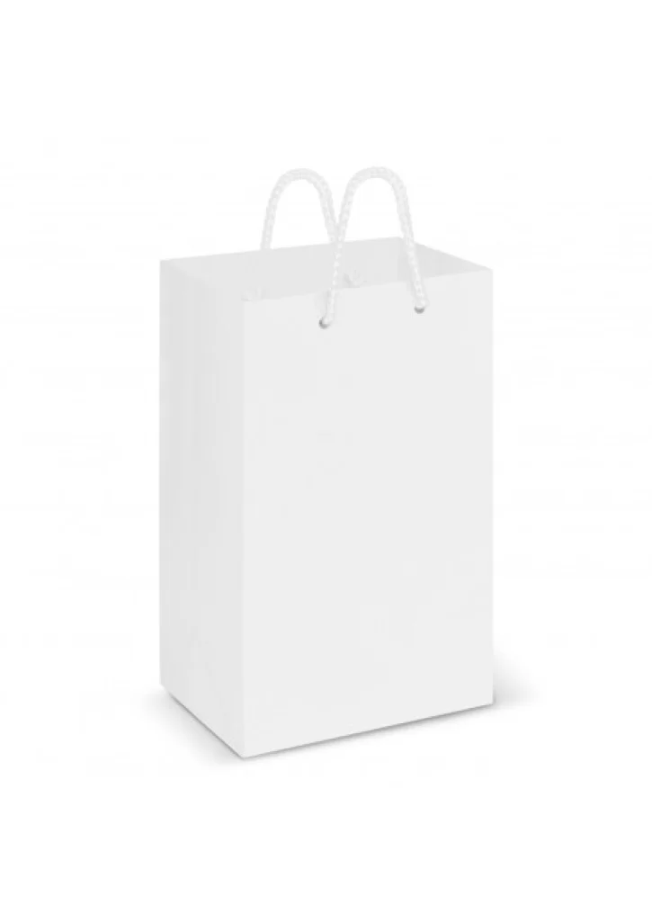 Laminated Carry Bag - Small Laminated Carry Bag - Small