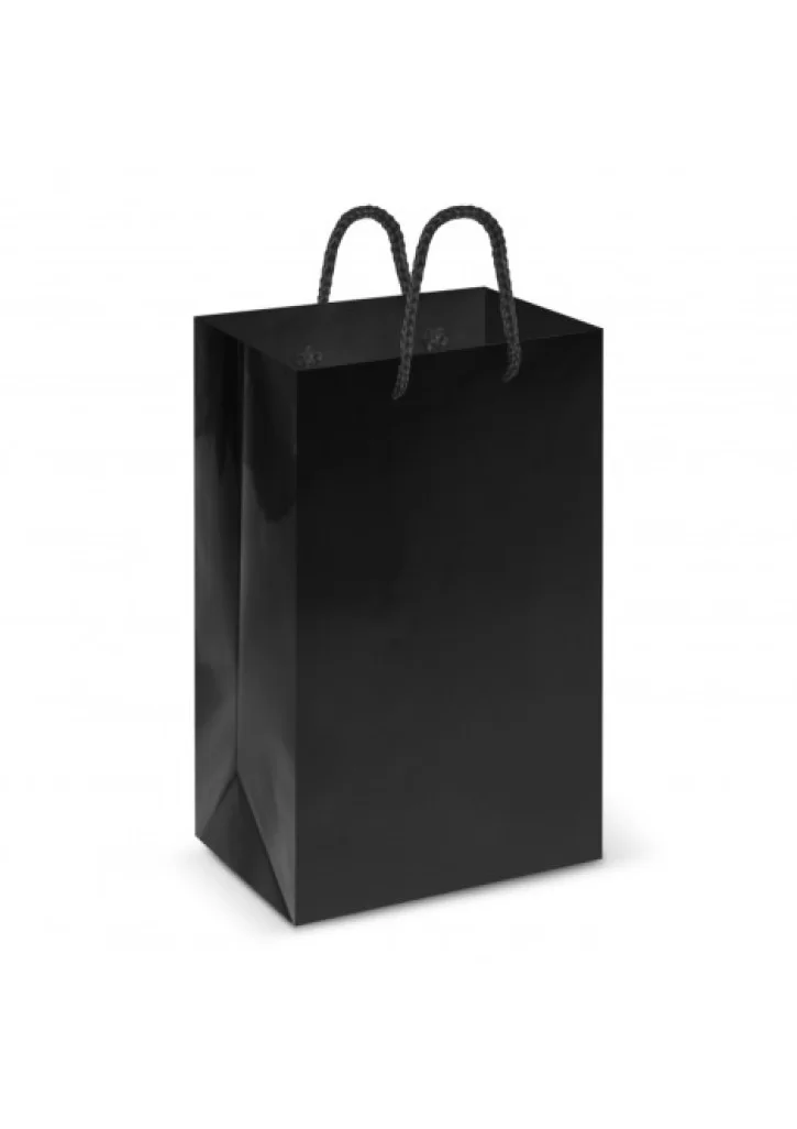 Laminated Carry Bag - Small Laminated Carry Bag - Small
