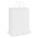 Laminated Carry Bag - Large - White