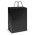 Laminated Carry Bag - Large - Black