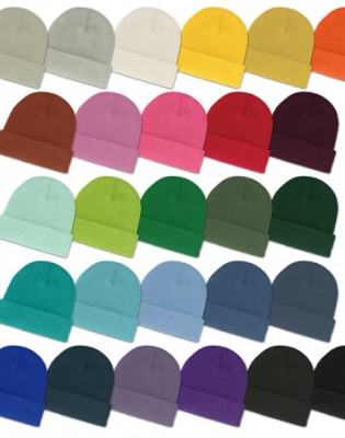 Everest Beanie