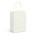 Small Paper Carry Bag - Full Colour - Can be produced in almost any colour