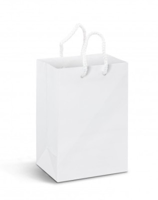 Small Laminated Paper Carry Bag - Full Colour