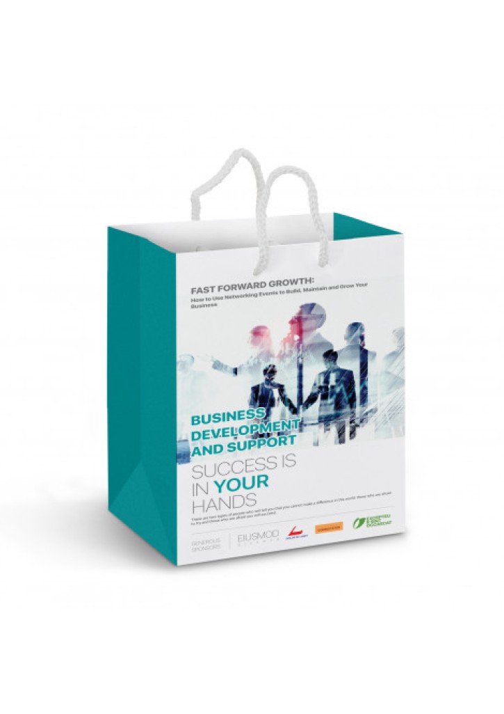 Medium Laminated Paper Carry Bag - Full Colour