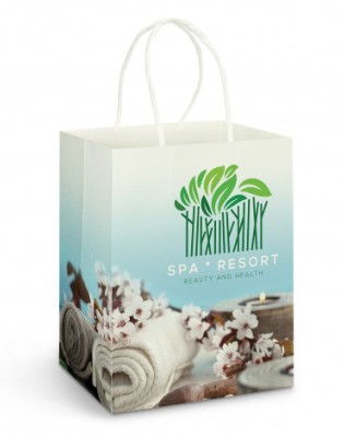 Large Paper Carry Bag - Full Colour