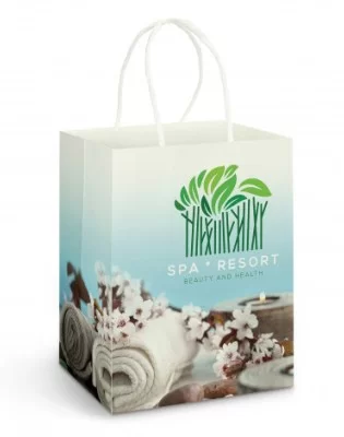 Large Paper Carry Bag - Full Colour