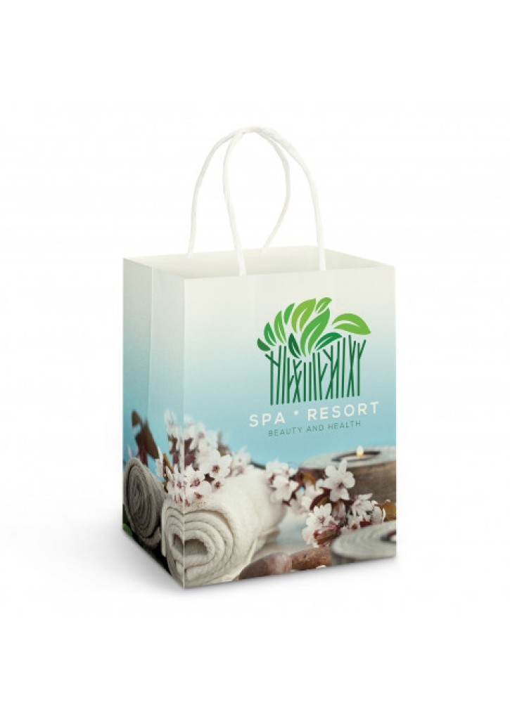 Large Paper Carry Bag - Full Colour