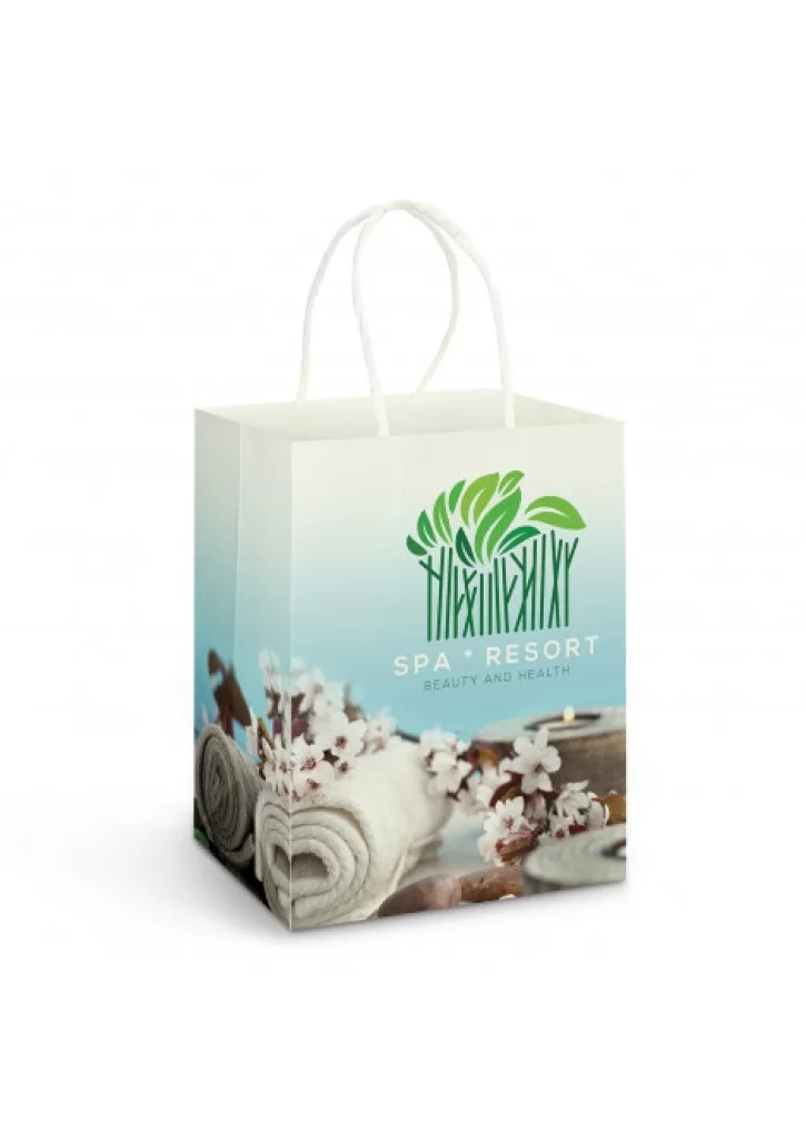 Large Paper Carry Bag - Full Colour