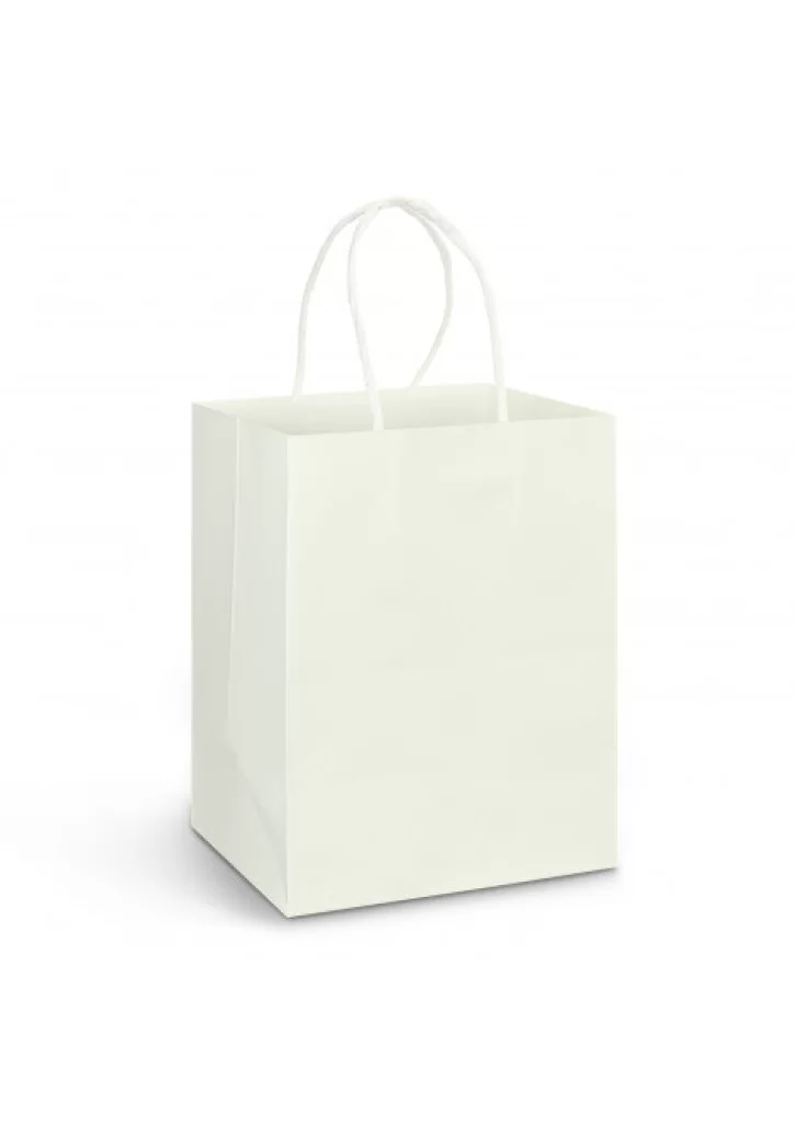 Large Paper Carry Bag - Full Colour