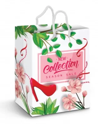 Large Laminated Paper Carry Bag - Full Colour