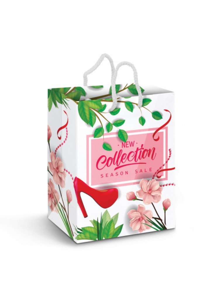 Large Laminated Paper Carry Bag - Full Colour