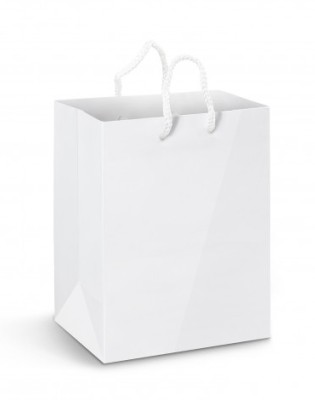 Large Laminated Paper Carry Bag - Full Colour