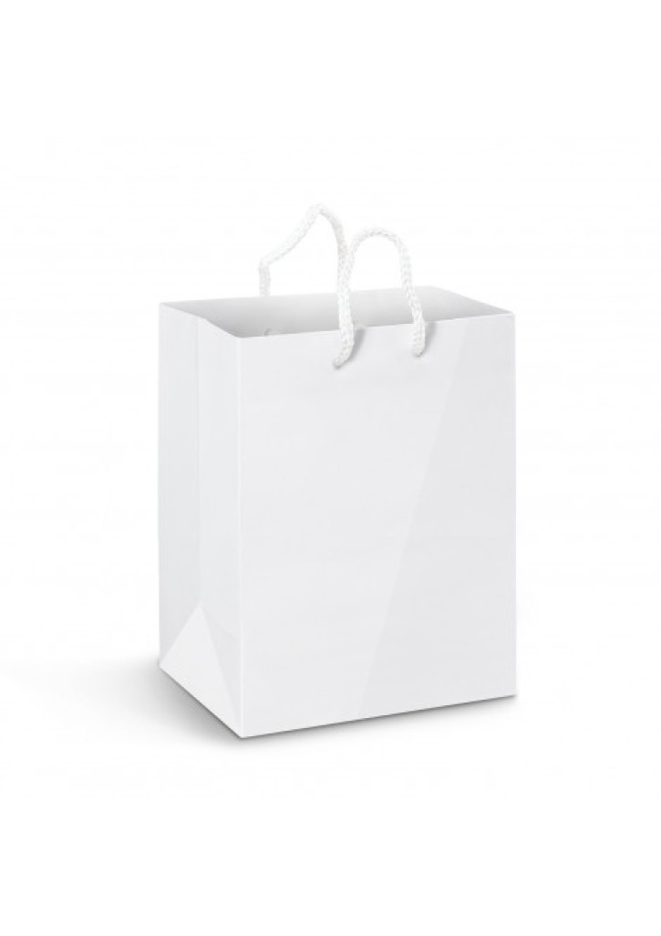Large Laminated Paper Carry Bag - Full Colour