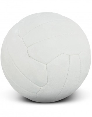 Netball Pro