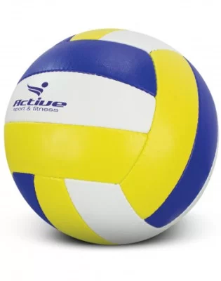 Volleyball Pro