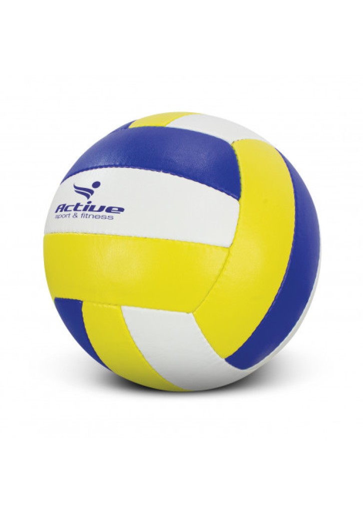 Volleyball Pro