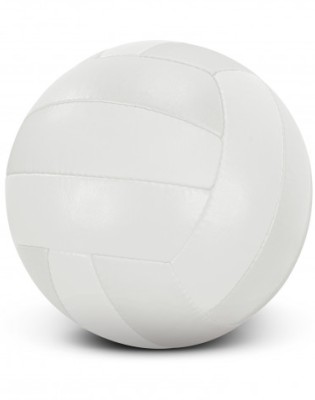 Volleyball Pro