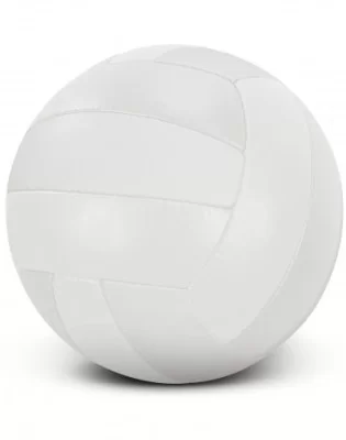 Volleyball Pro