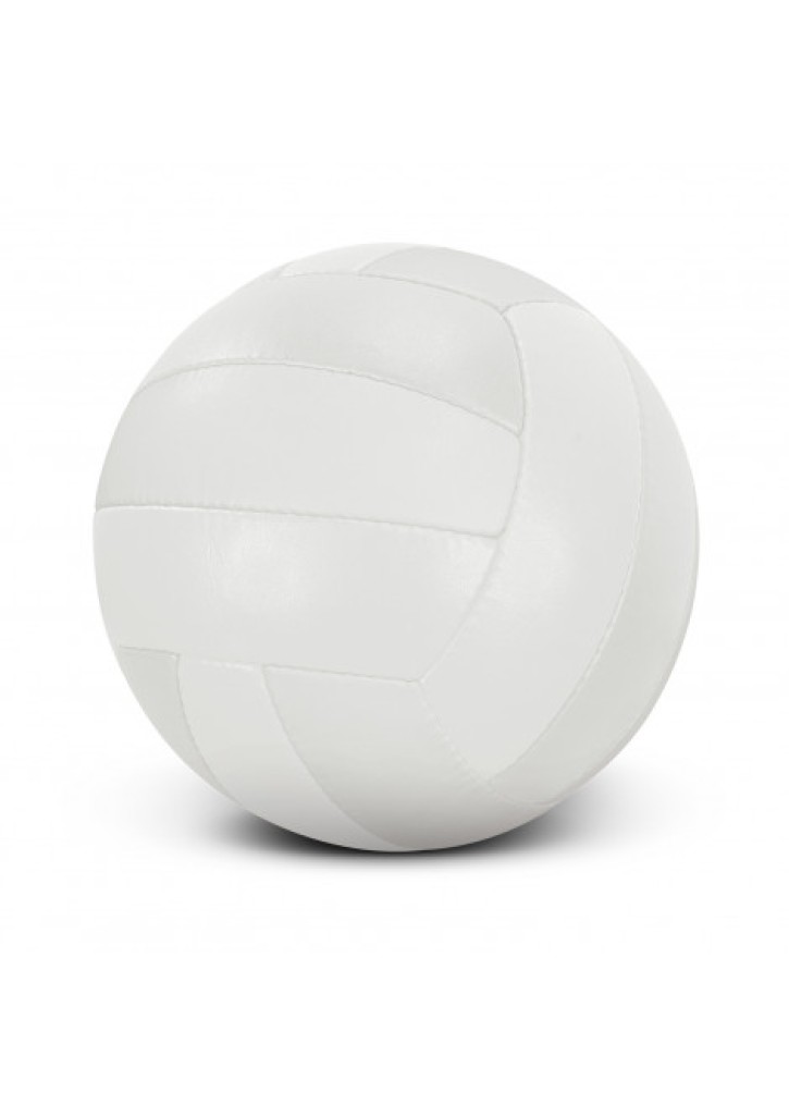 Volleyball Pro