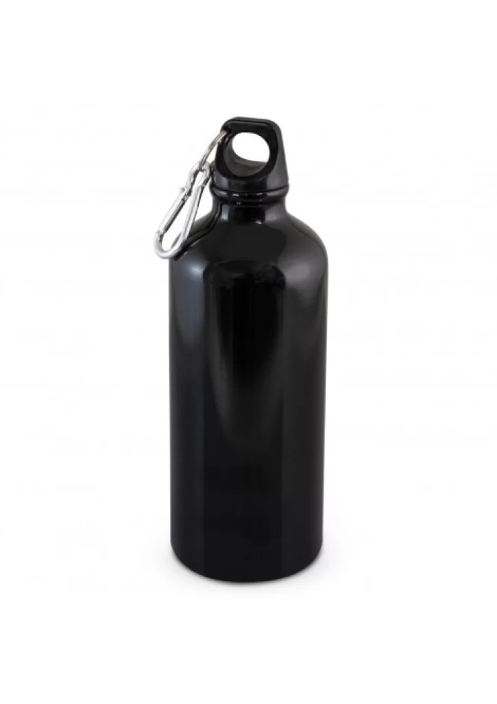 Intrepid Bottle - 600ml