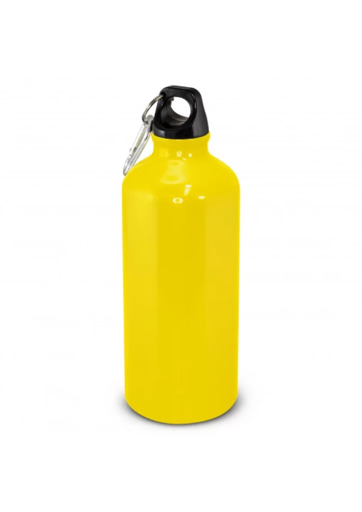 Intrepid Bottle - 600ml