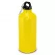 Intrepid Bottle - 600ml