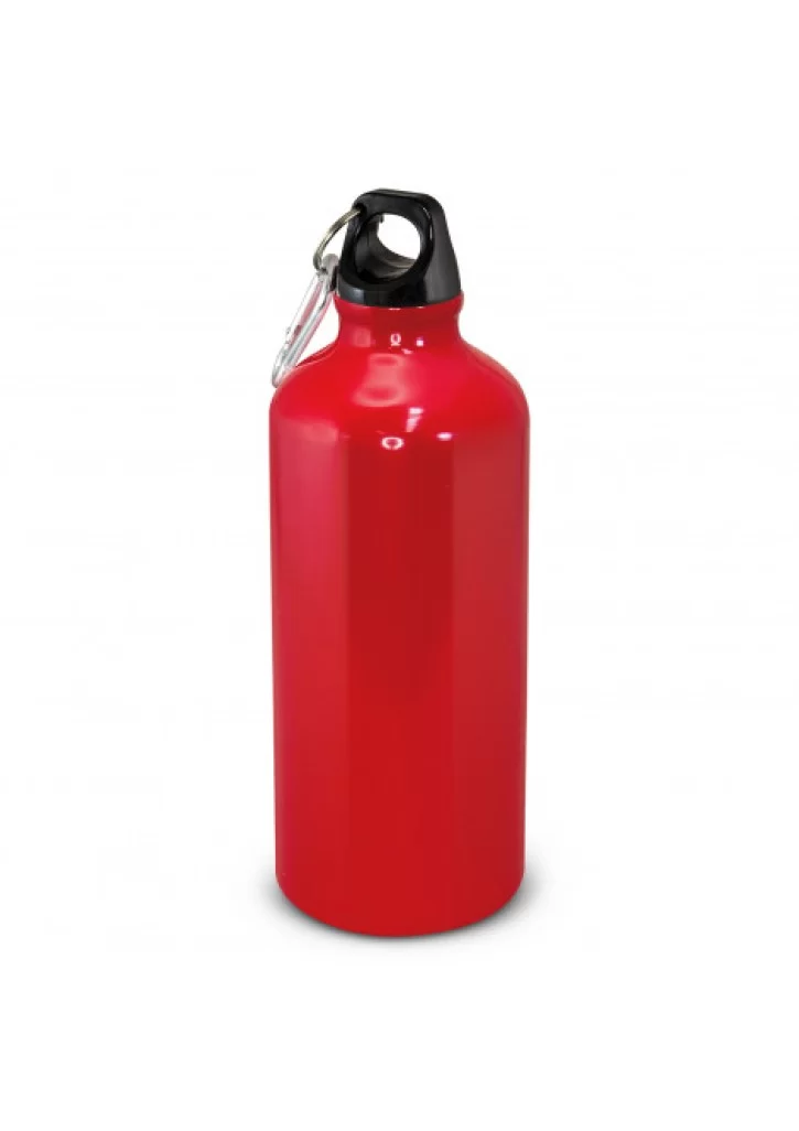 Intrepid Bottle - 600ml