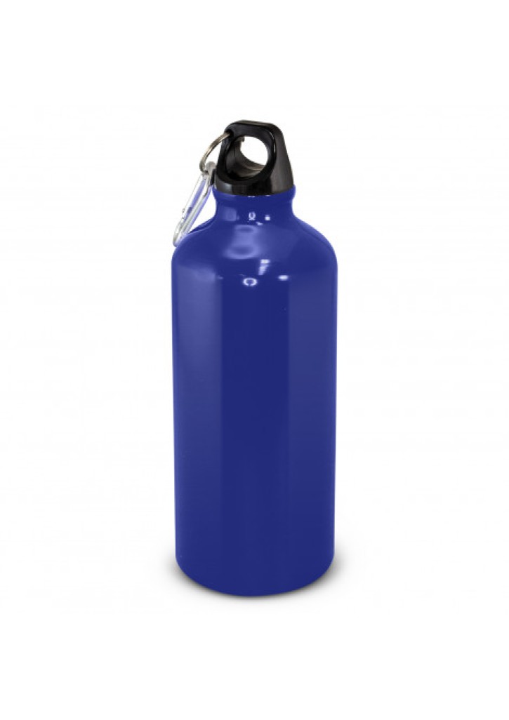 Intrepid Bottle - 600ml
