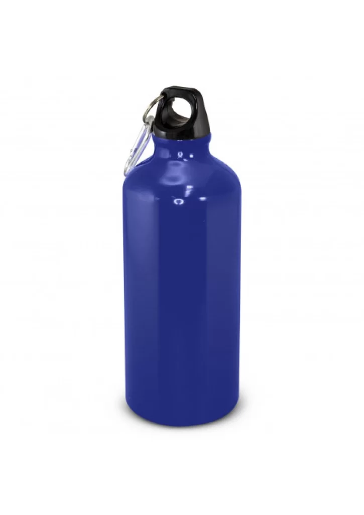 Intrepid Bottle - 600ml