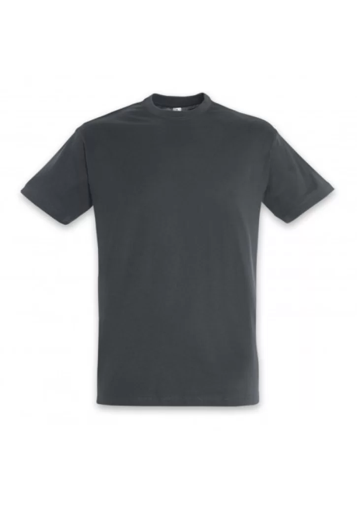 SOLS Regent Adult T-Shirt