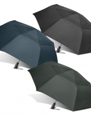 Director Umbrella