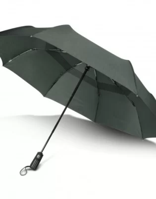 Director Umbrella