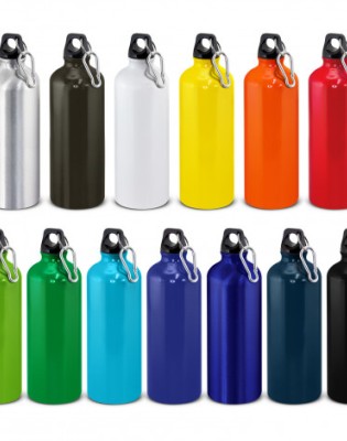 Intrepid Bottle - 800ml