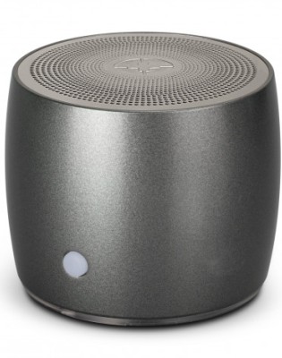 Swiss Peak Bass Speaker