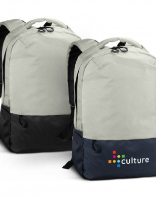 Ascent Laptop Backpack