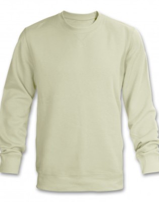 TRENDSWEAR Classic Unisex Sweatshirt