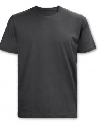 TRENDSWEAR Original Mens T-Shirt