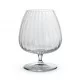 Luigi Bormioli Optica Cognac Glass