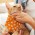 Pet Bandana - Small - White
