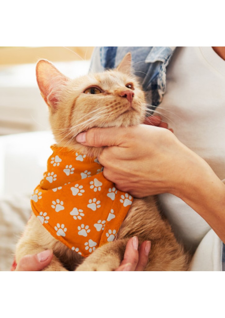 Pet Bandana - Small