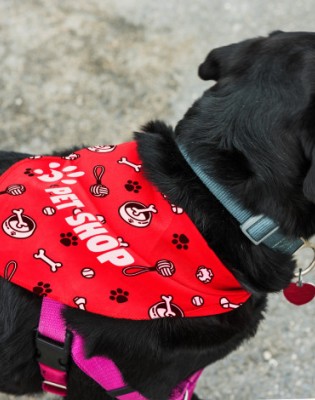 Pet Bandana - Large