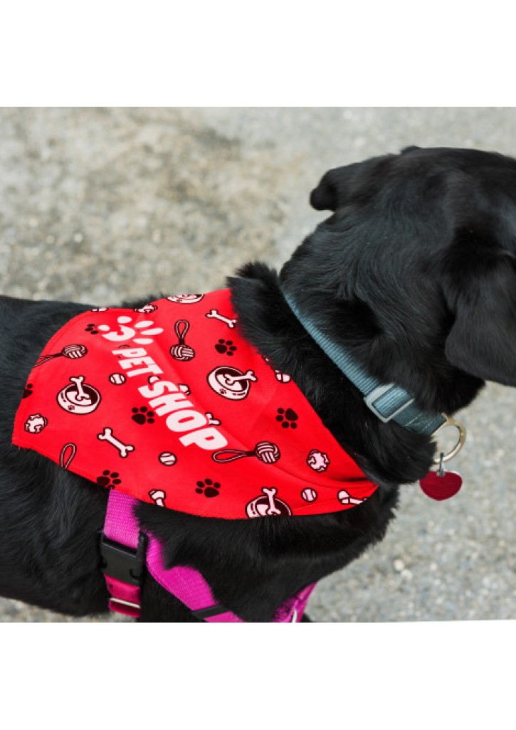 Pet Bandana - Large