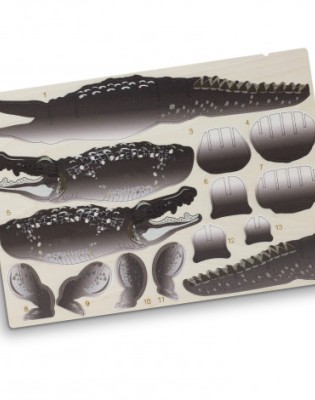 BRANDCRAFT Crocodile Wooden Model