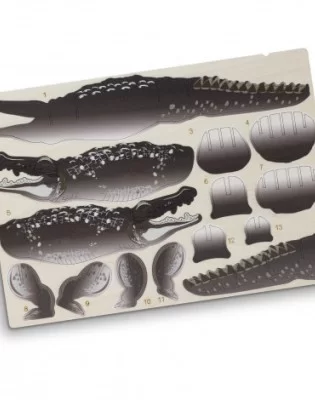 BRANDCRAFT Crocodile Wooden Model