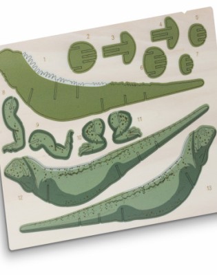 BRANDCRAFT Tuatara Wooden Model