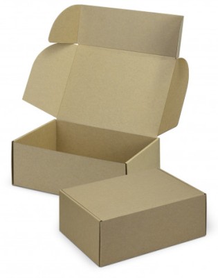 Die Cut Box with Locking Lid - 300x225x113mm