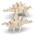BRANDCRAFT Stegosaurus Wooden Model - Natural