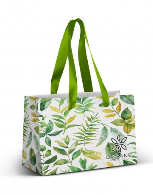 Small Ribbon Handle Paper Bag - Full Colour