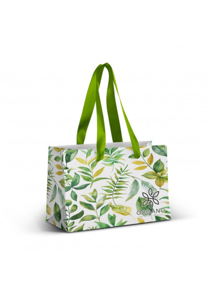 Small Ribbon Handle Paper Bag - Full Colour