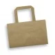 Small Flat Handle Paper Bag Landscape Small Flat Handle Paper Bag Landscape